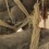 Detail of "Play — 1," silicon, iron, cotton filling, hemp cordage, fur, feathers, shells. "玩 - 2," 硅胶、钢铁、丝绵填充、麻绳、皮草、羽毛、贝壳等装饰品, 160 x 60 x 80 cm, 2011 （局部）。