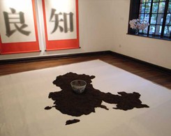 Dai Guangyu, 2008, installation at ifa gallery