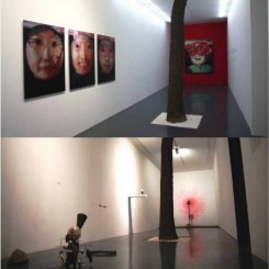 force gallery_02