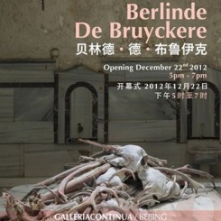 Continua beijing - Berlinde de Bruyckere 00