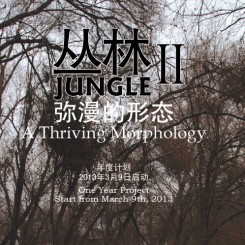 platform China - Junkle poster