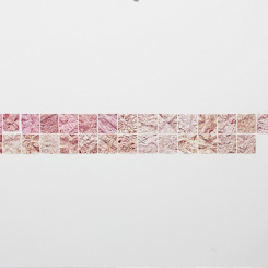 "Pomegranate," lipstick on paper, set of 35, 2011-2013