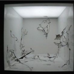 Gallery Yang BJ - Shen Ruijun - The boxes of curiosity VII