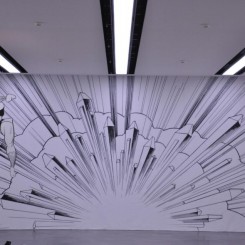Installation view, Jim Shaw: Fumetto, International Comix-Festival Luzern, Kunstmuseum Luzern, 2011.