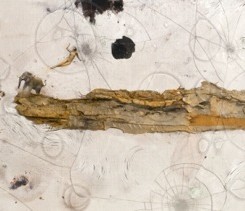 Claire Lee_Sacrifice6_2012_Mixed media_Framed 480x1190mm