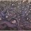 Han Sai Por, "Nestles 4," woodblock, coloured STPI handmade cotton paper, 102 x 127 cm, 2013