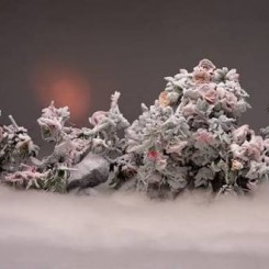 Wang Qinsong，Auspicious Snow，Photography，王庆松，瑞雪丰年，摄影，120 x 280 cm，2013
