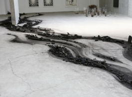 Shi Jinsong, "Over There", locust tree and a number of animal skeletons made into charcoal, installation, variable in size, 2011史金淞，《那边》，装置，碳化一棵树和若干动物的骨骼，2011
