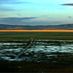William Yang, Lake George #2, 2010, digital ink jet print, 34 x 50cm. Courtesy the artist.