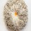 Johan Creten, "Fireworks—The clearing" (detail), mat and shiny gold luster on majolica glazed stoneware, 100 x 75 x 21 cm, 2013 (Photo: Joyce Yung; © Creten / ADAGP, Paris; Sack, Seoul, 2014; image courtesy Galerie Perrotin)