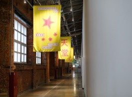 Installation View (Courtesy of artist and DSL Collection)