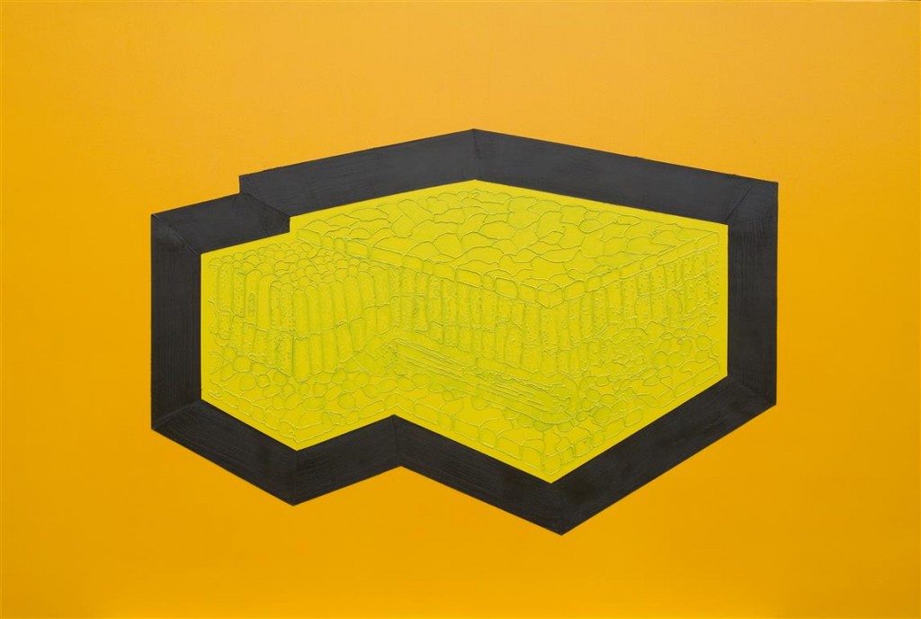 Wang Jianwei,