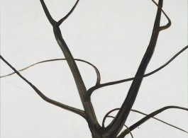 "The Branches (1)" 2014
© Zhang Enli Courtesy the artist and Hauser & Wirth
