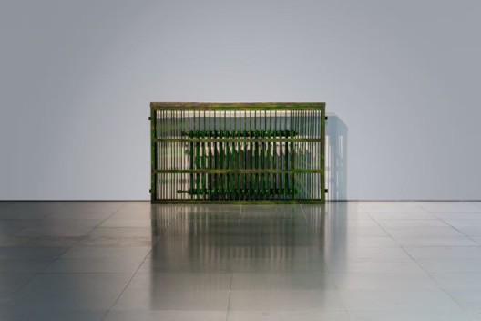 Installation view of Wang Wei,