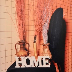 Annette Kelm "Home Home Home / Flashlight" 2015, at König Galerie