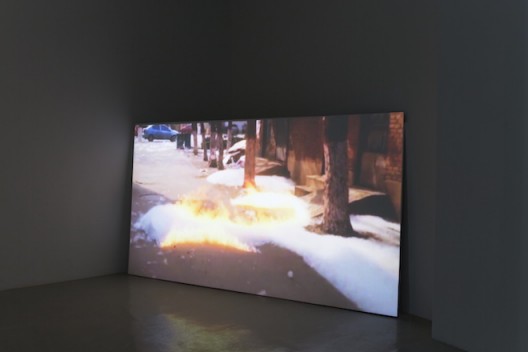 Liu Chuang, “BBR1 (No.1 of Blossom Bud Restrainer) No.2”, Video, 8 mins, 2015, Courtesy the artist and Magician Space刘窗,《BBR1(抑花一号)No.2》,录像,8′25′′,2015@魔金石空间