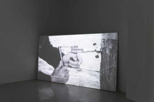 Liu Chuang, “BBR1 (No.1 of Blossom Bud Restrainer) No.2”, Video, 8 mins, 2015, Courtesy the artist and Magician Space刘窗,《BBR1(抑花一号)No.2》,录像,8′25′′,2015@魔金石空间