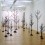 Peter Liversidge

Ingleby Gallery

Trees (2010-2015)

courtesy the artist and the gallery