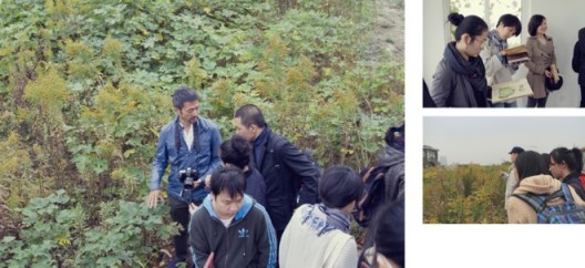 “Plants Living in Shanghai“, plants, open online course (MOOC), educational activities on eight Sundays, Xuhui District, Shanghai, 2013《住在上海的植物》,植物现场、网络课程、教育活动,上海市徐汇区,2013