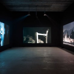 程然,《热血、温血、冷血》, 展览现场, 2011 
Cheng Ran, "Hot Blood, Warm Blood, Cold Blood", installation view, 2011