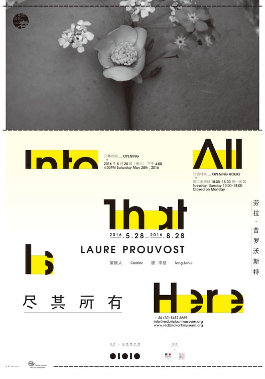 劳拉·普罗沃斯特（Laure Prouvost） 海报