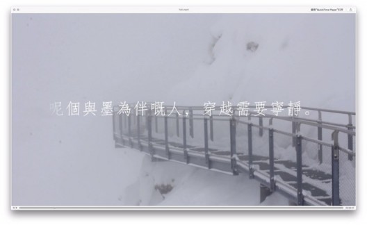 李振华 Li Zhenhua  (b.1975) 影像诗歌 Video Poetry， 2016 单频道录像Single-channel video 1080p 立体声Stereo sound 黑白 Black & white 时长：7'25
