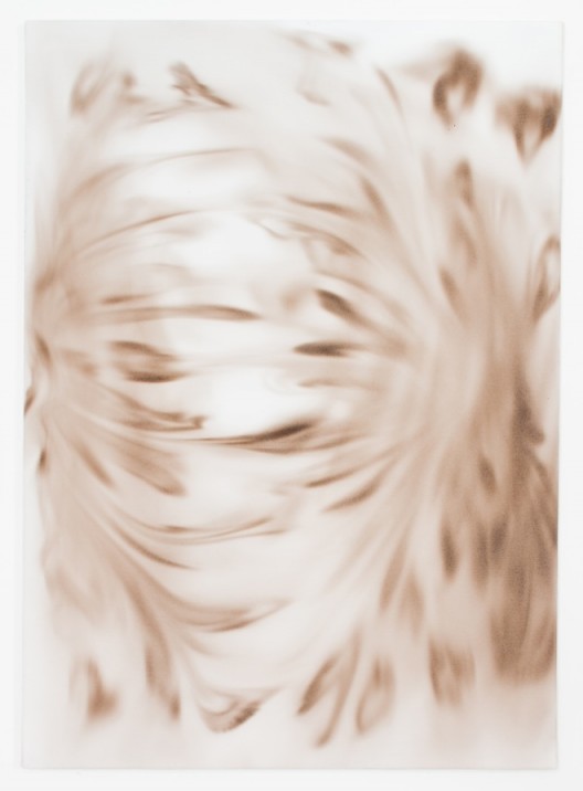 Josef Ramaseder 约瑟夫 阿玛西德, spore_painting (magnet_head), Spore dust on primed canvas, 70x50cm