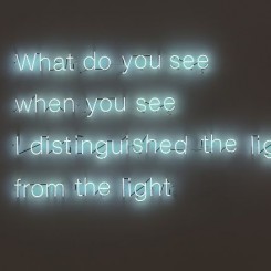 《从光中分辨光》，霓虹灯管，130×240cm，2013