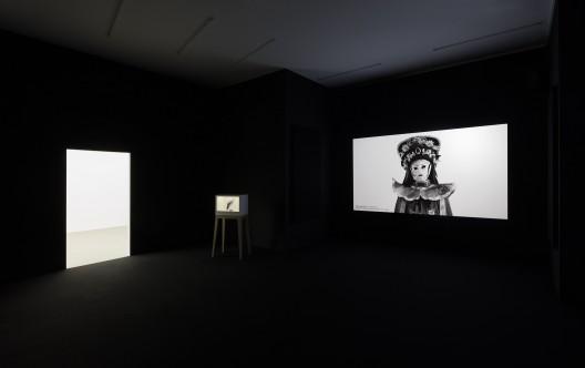 Tao Hui, “Excessive”, 2015, HD video (color, sound), glass projector, silica gel, iron, wood, 112 x 59,8 x 30 cm, duration: 19:32 min, edition of 5.