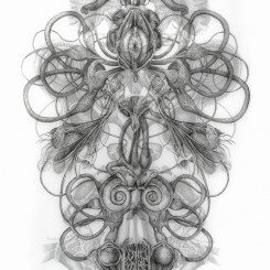 Angela Su, Rorschach Test No.1, 2016, Ink on drafting film 151.5 x 105 cm, (Image courtesy of artist and Blindspot Gallery)