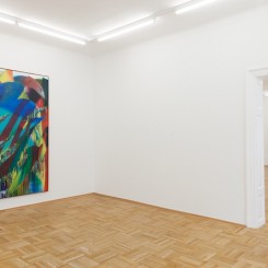 Installation view (courtesy the artist and Galerie nächst St. Stephan)
