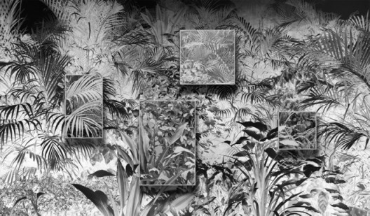 Plants Covered in Dust, 2017 Wallpaper, archival pigment print and wooden frames 139 x 237 inches (353 x 602 cm), Image courtesy of Klein Sun Gallery and the artist, © Ji Zhou.