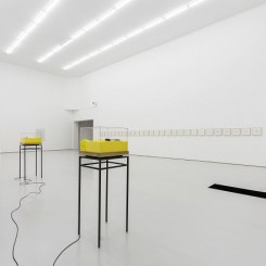 “郝经芳&王令杰”，展览现场，空白空间北京
“Jingfang HAO & Lingjie WANG”, installation view, White Space Beijing