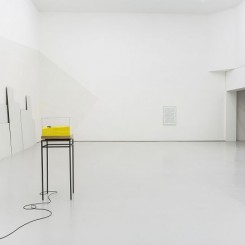 “郝经芳&王令杰”，展览现场，空白空间北京
“Jingfang HAO & Lingjie WANG”, installation view, White Space Beijing