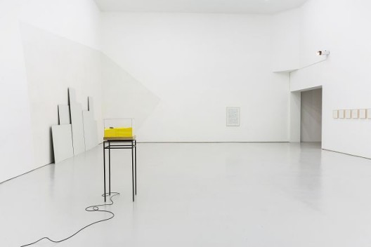 “郝经芳&王令杰”，展览现场，空白空间北京 “Jingfang HAO & Lingjie WANG”, installation view, White Space Beijing