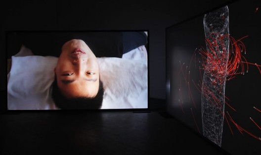 aaajiao, “Body Shadow,” Tattooing scenes, 2015. Made possible with the collaboration of Xu Cong, Liu Xiaoguang, Nara, and Fan Shisan; medical advisor Che Yejiong. Installation View at the Shanghai Himalayas Museum, 2017. Image courtesy of the Researcher and Shanghai Project aaajiao,《身影》,纹身现场,2015年。与许聪、刘晓光、谭硕欣和范石三共同完成;医学顾问车烨炯。上海喜玛拉雅美术馆现场图,2017。图片由上海种子提供