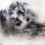 徐龙森，《云图之二》，水墨纸本，122 x 122 cm，2015（图片由艺术家提供）
XU Longsen, “Cloud Series No. 2”, Ink on Paper, 122 x 122 cm, 2015 (Image Courtesy of the Artist)