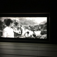 杨福东，《愚公移山》展览现场，2016