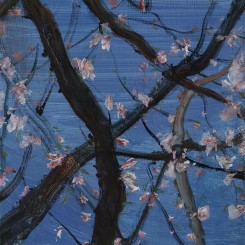 《花系列之二》，布面油画，40X50cm