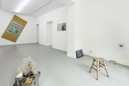 “杂毛连须公”,展览现场,胶囊上海,鸣谢胶囊上海