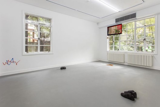 “杂毛连须公”,展览现场,胶囊上海,鸣谢胶囊上海