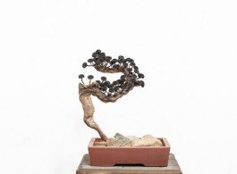 Bonsai / 2016 / Iron dust, magnet, iron nail, wood branch / 50 x 43 x 39 cm