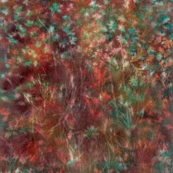 Sam Falls, Untitled (Ouachita National Forest, 1), 2018, Pigment on canvas, 100 x 62 inches (254 x 157.5 cm)