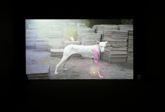 Pierre Huyghe, “A Way in Untilled”, film, HD video, color, sound, 14', 2018