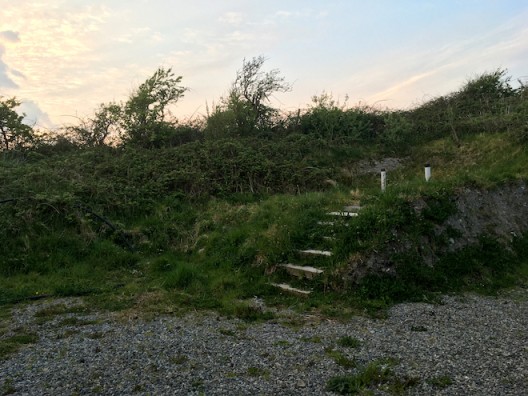 Three picturesque trees behind a picturesque septic tank © Claire Kerr 2020