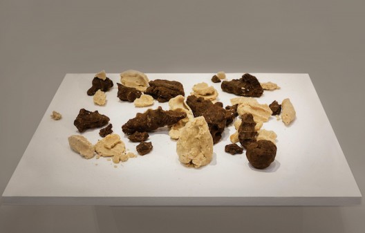 Cao Yu, Artist Manufacturing, 2016, Breastmilk (the artist’s), dimensions variable. Image courtesy the artist and Galerie Urs Meile