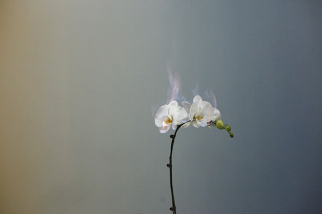 o Jiang_Zhi_Love_Letters_2011_No_5