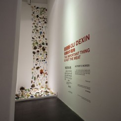 Gu Dexin: "The Important Thing is Not the Meat" (2012) exhibition/installation view顾德新：“重要的不是肉”（2012），展览现场