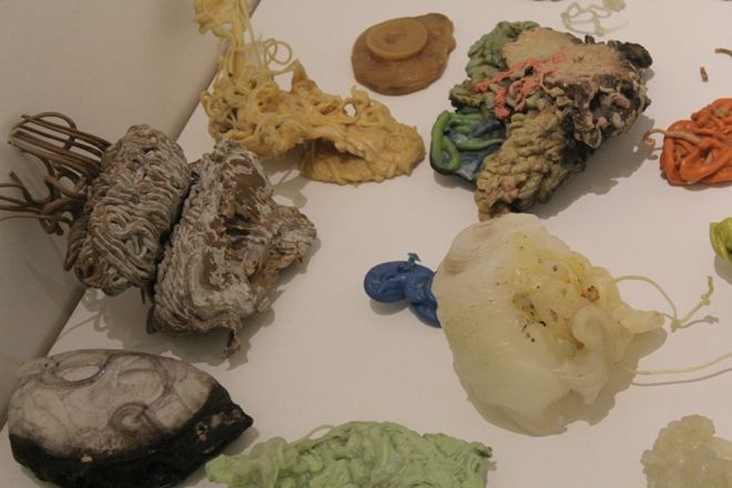 The_Important_Thing_is_Not_the_Meat_-_exhibition_details__photos_IW__3_