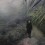 刘传宏 Liu Chuanhong, “林冲入豫北记——第八场 水段村路上 Lin Chong Enters Northern Henan—Scene 8: on the Way to Shuiduan Village,” 布面油画 oil on canvas, 67×100 cm, 2012